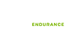 FIA World Endurance Championship logo