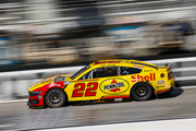 Food City 500 related photo