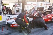 MOTUL PETIT LE MANS at Road Atlanta