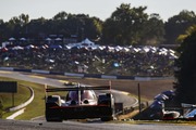 MOTUL PETIT LE MANS at Road Atlanta